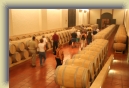 Santiago-Wine-Tasting 060 * 2496 x 1664 * (1.74MB)